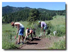 Trail Construction